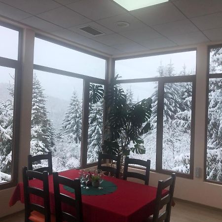 Genco Hotel Mountain View Predeal Dış mekan fotoğraf