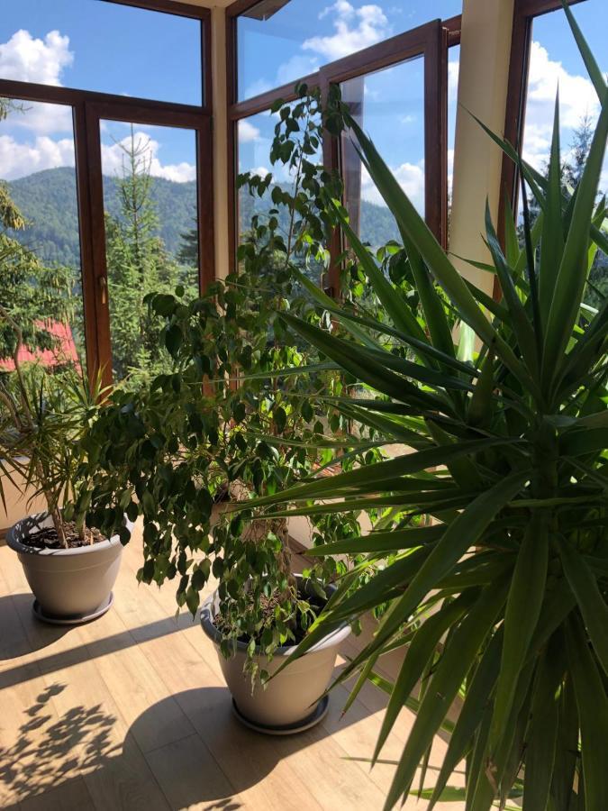 Genco Hotel Mountain View Predeal Dış mekan fotoğraf