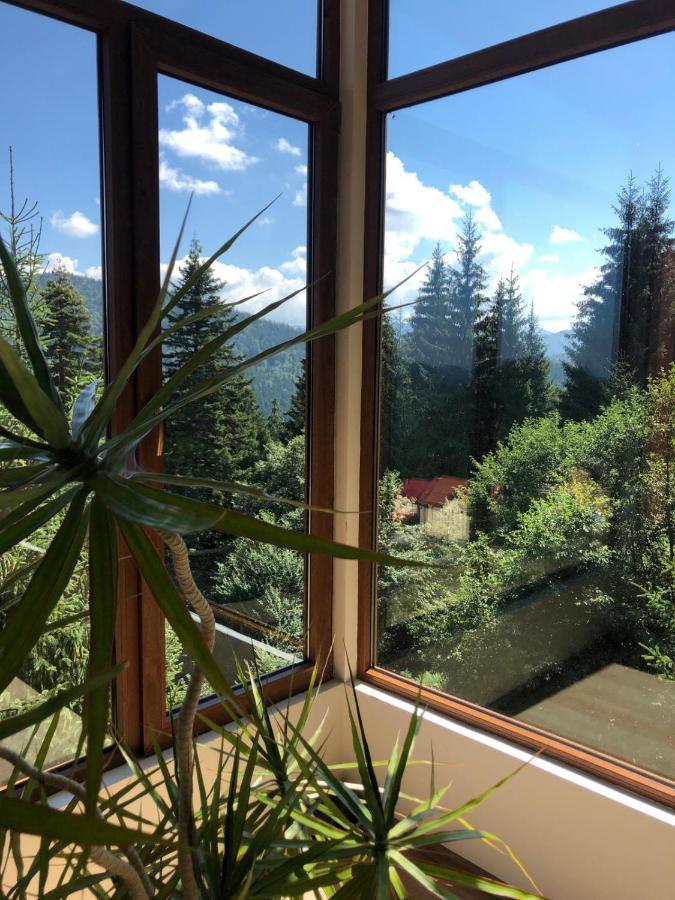 Genco Hotel Mountain View Predeal Dış mekan fotoğraf