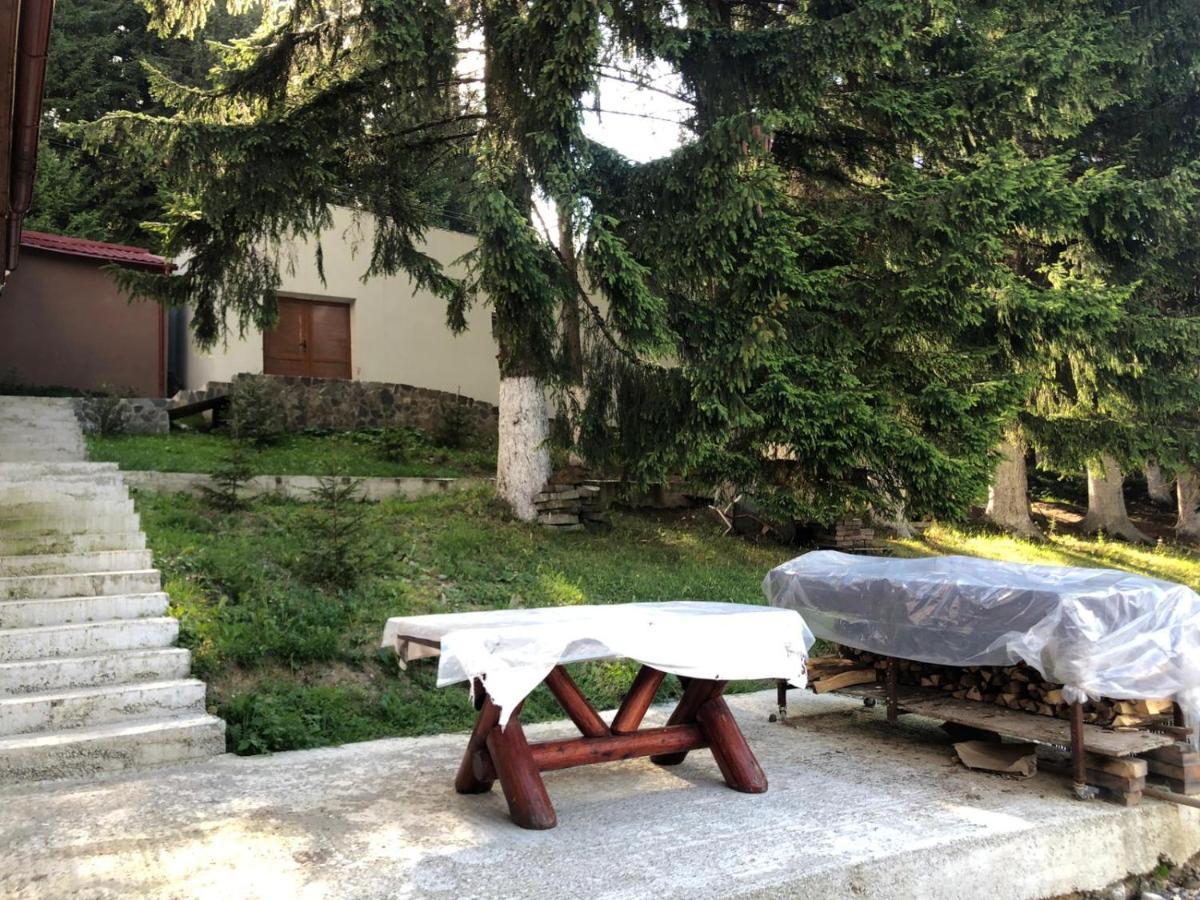 Genco Hotel Mountain View Predeal Dış mekan fotoğraf