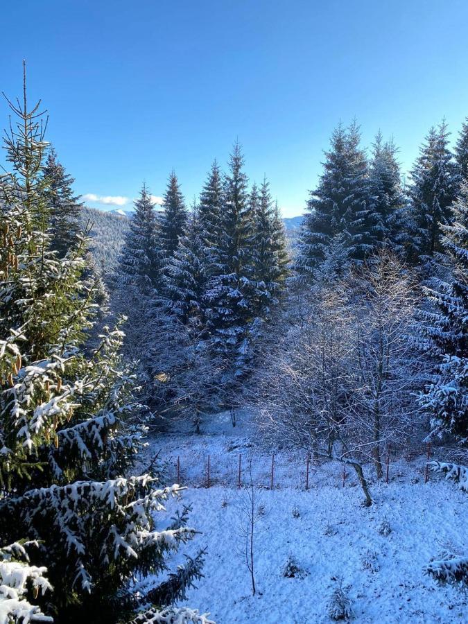 Genco Hotel Mountain View Predeal Dış mekan fotoğraf