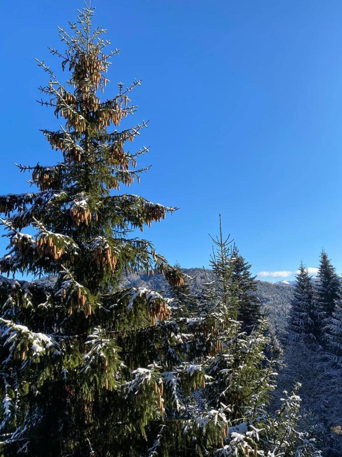 Genco Hotel Mountain View Predeal Dış mekan fotoğraf