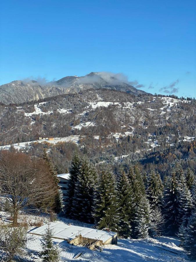 Genco Hotel Mountain View Predeal Dış mekan fotoğraf